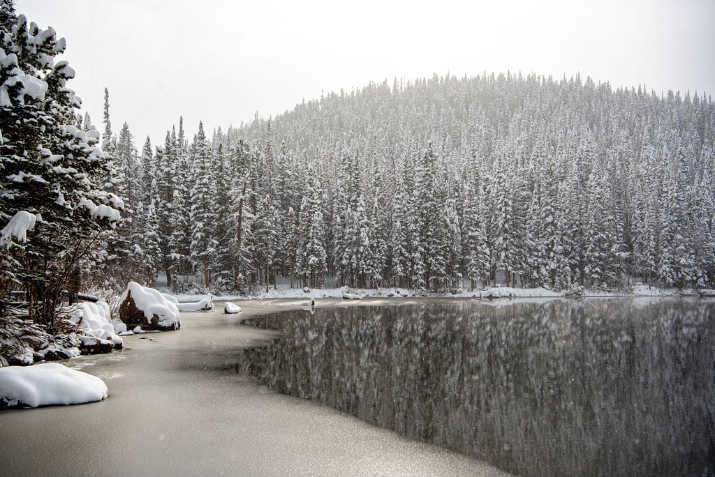 snowy landscape of a partially frozen lake at Bear Lake in Rocky mountain National Park. There is snow on all of the trees and the trees reflect onto the lake on the right of the image. 