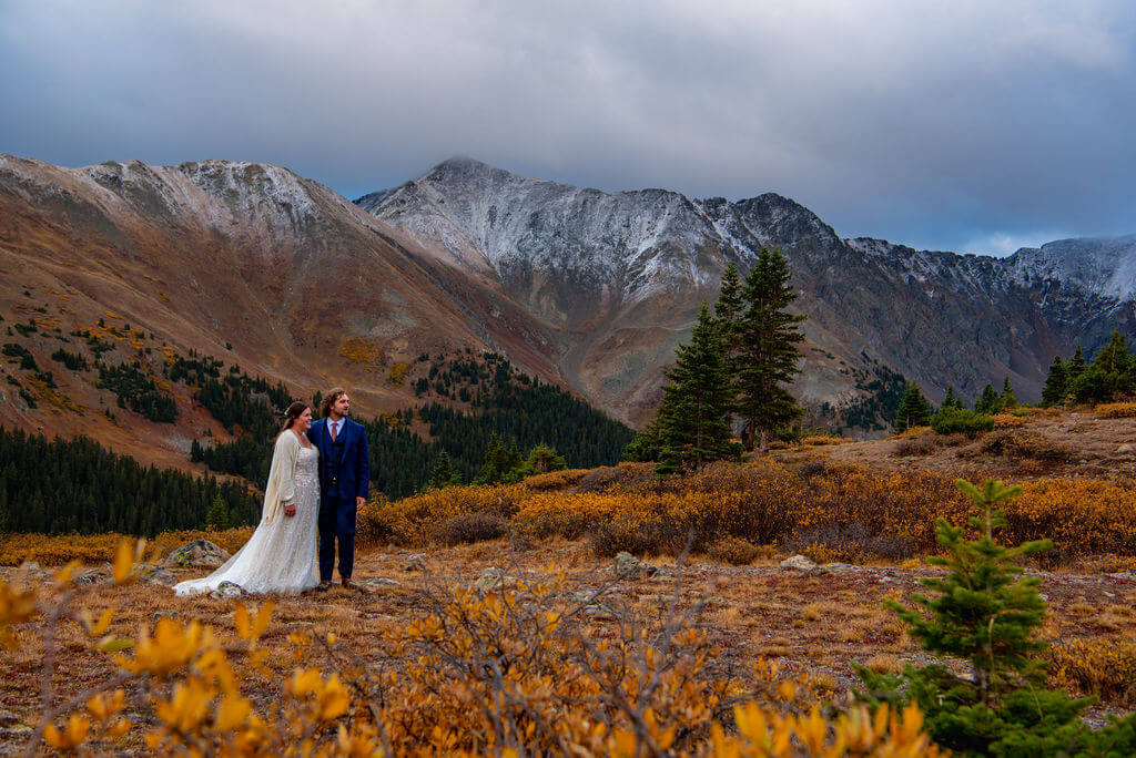 A bride and groom are standing to the left of the image looking out at the view which is a snowy mountain range. They are standing together in a yellow field with a few pine trees in the foreground. 