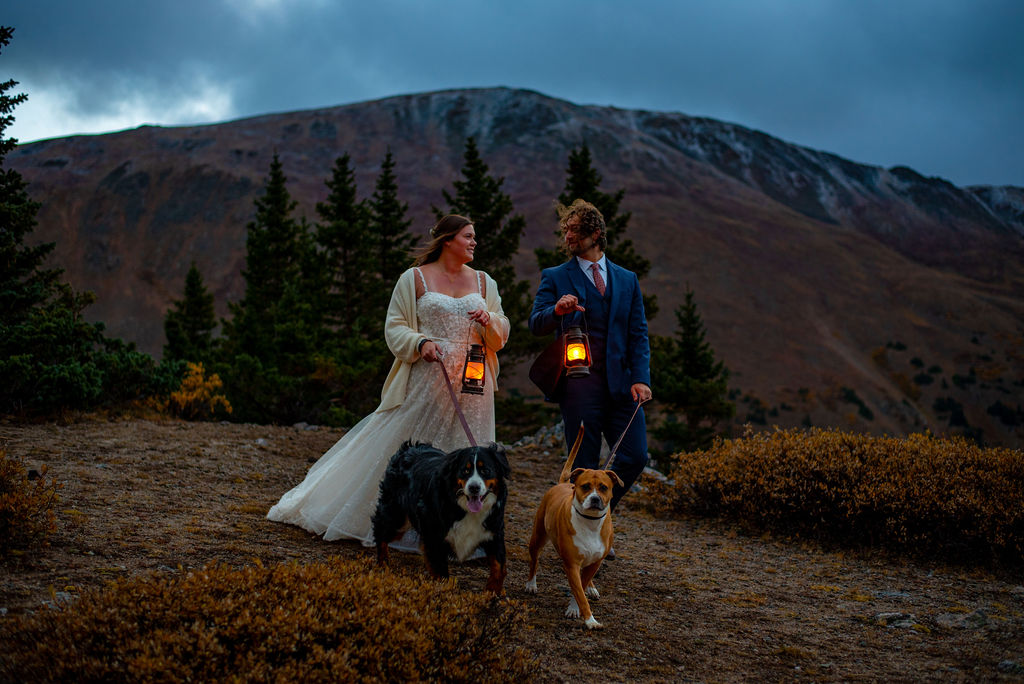 bride and groom and their two pups walking through trails in Colorado for their elopement day