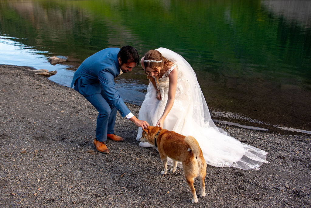 bride and groom and a random dog