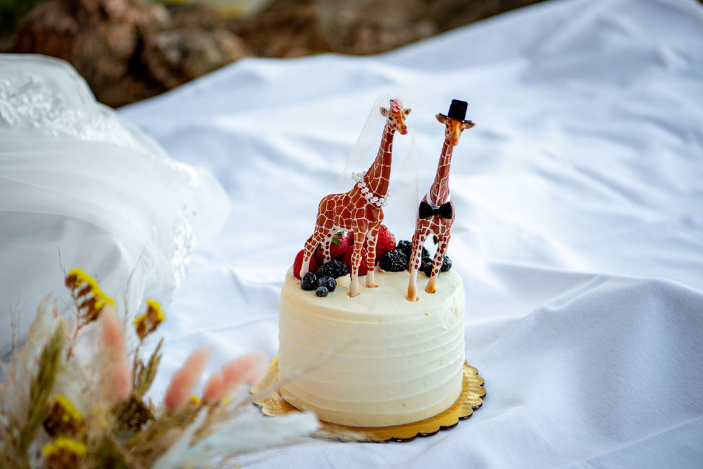 fun small elopement wedding cake with giraffe cake toppers