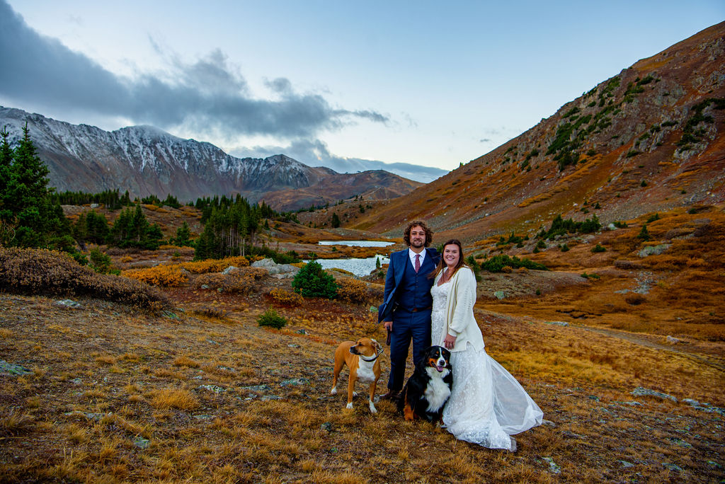 colorado bride and groom during their elopement day with their two dogs
