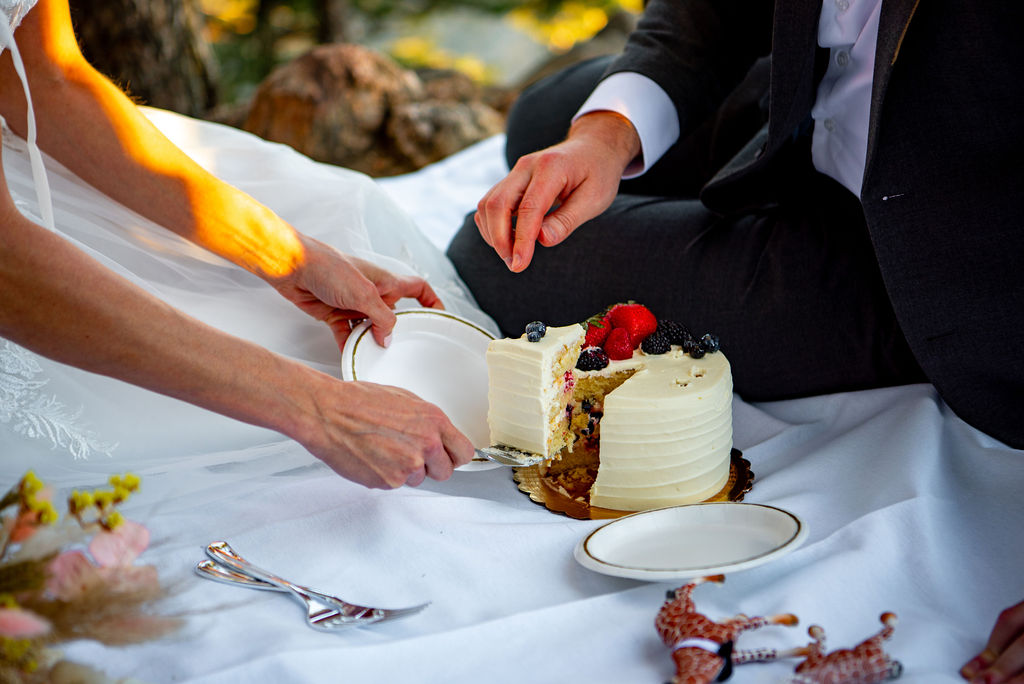 bride and groom cutting an elopement cake