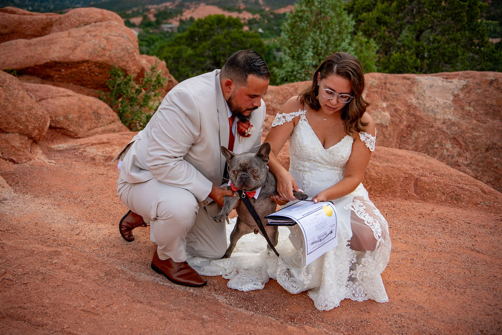 A couple in wedding attire kneels beside a French Bulldog who is signing the marriage certificate with his paw print. They're outdoors on a rocky landscape, sharing a joyful moment. Their Colorado elopement planning prepared them to have their dog sign their certificate.