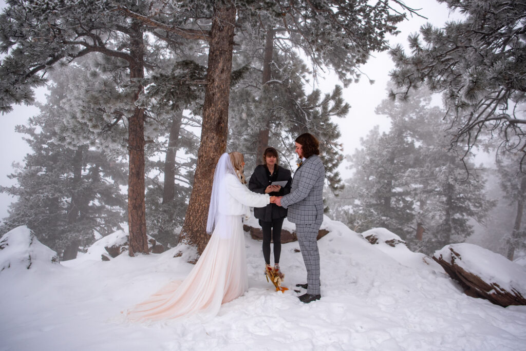 A bride and groom stand together holding hands in the snow, celebrating their wedding ceremony in a picturesque Colorado setting. They are dressed in their wedding attire. The groom is wearing a checkered suit.