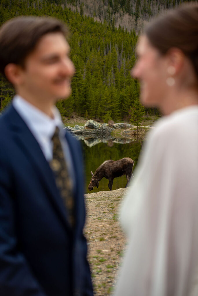 A moose grazes by a serene lake surrounded by green trees, with a bride and a groom holding hands and looking at each other in the foreground.